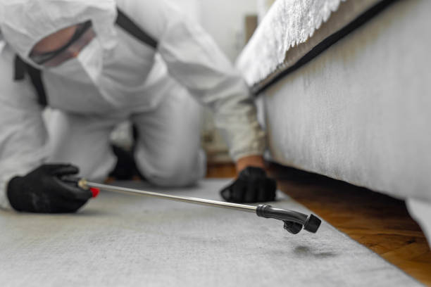 Professional Bed Bug Control technician working in Lumber City, GA