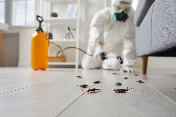 Trusted Cockroach Control service in Lumber City, GA - Nex Pest Control