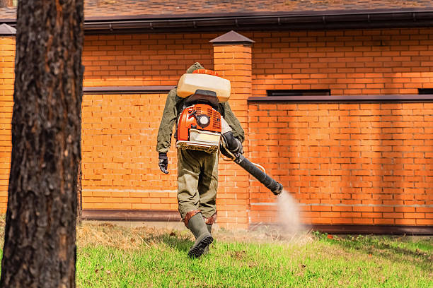 Trusted Ant Control service in Lumber City, GA - Nex Pest Control